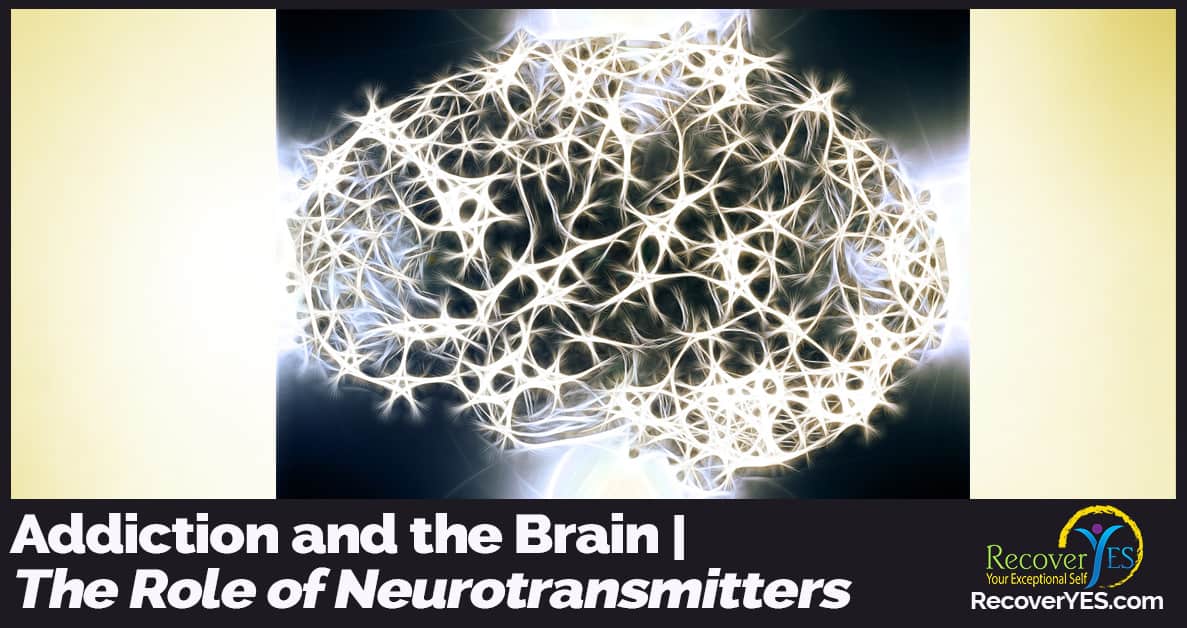 the role of neurotransmitters in the human body Acetylcholine's role in the brain for memory, concentration, and neuron growth how this neurotransmitter functions + supplements to prevent deficiency. the role of neurotransmitters in the human body Acetylcholine's role in the brain for memory, concentration, and neuron growth how this neurotransmitter functions + supplements to prevent deficiency.