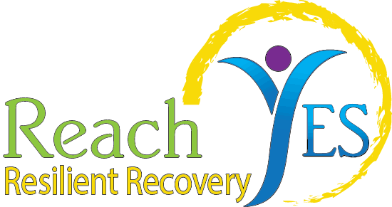 ReachYES Stakeholder Support Program