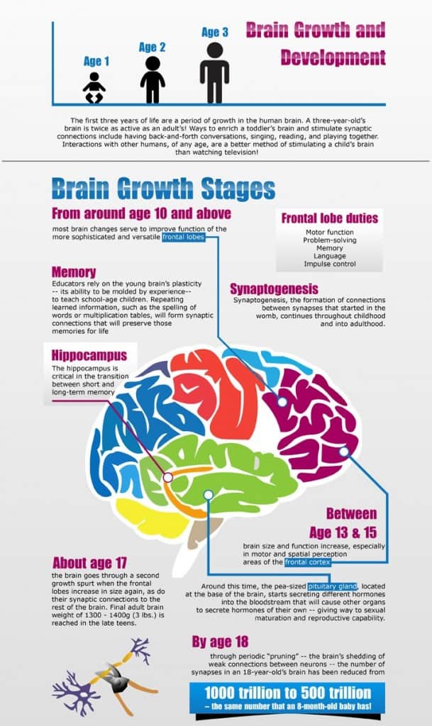 Teenage Addiction and Brain Development