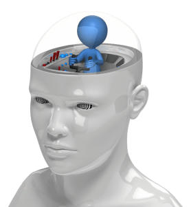 The teenage brain is driven by emotions.